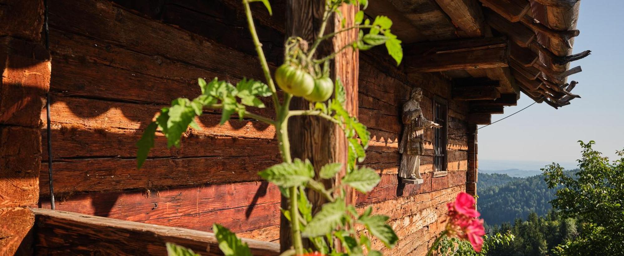 Chalets Toplak Sveti Duh na Ostrem Vrhu Buitenkant foto