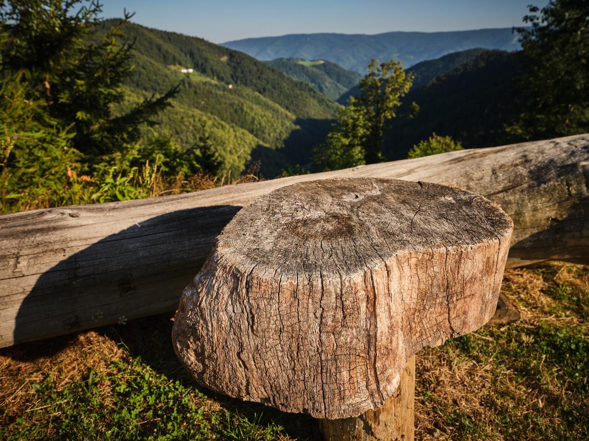 Chalets Toplak Sveti Duh na Ostrem Vrhu Buitenkant foto