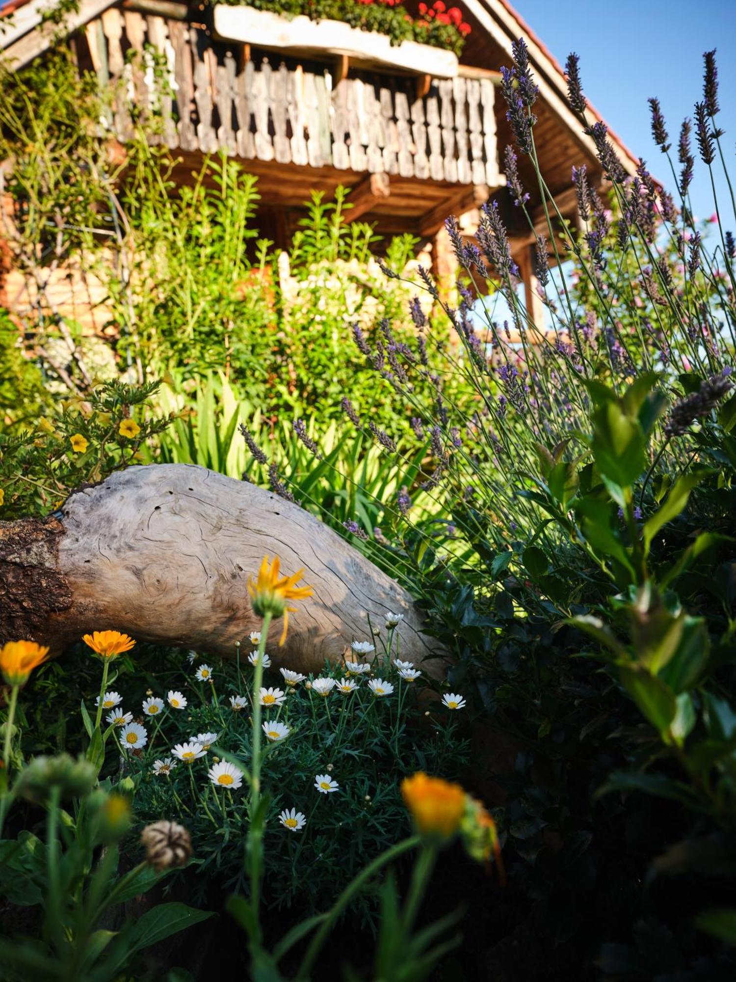 Chalets Toplak Sveti Duh na Ostrem Vrhu Buitenkant foto