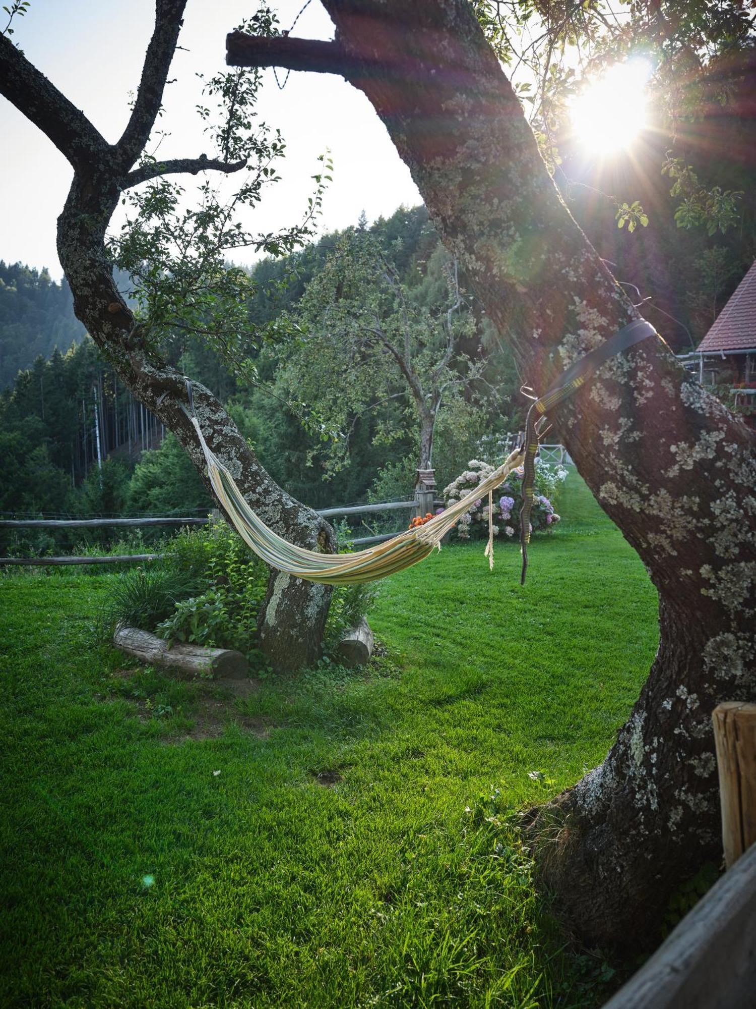Chalets Toplak Sveti Duh na Ostrem Vrhu Buitenkant foto