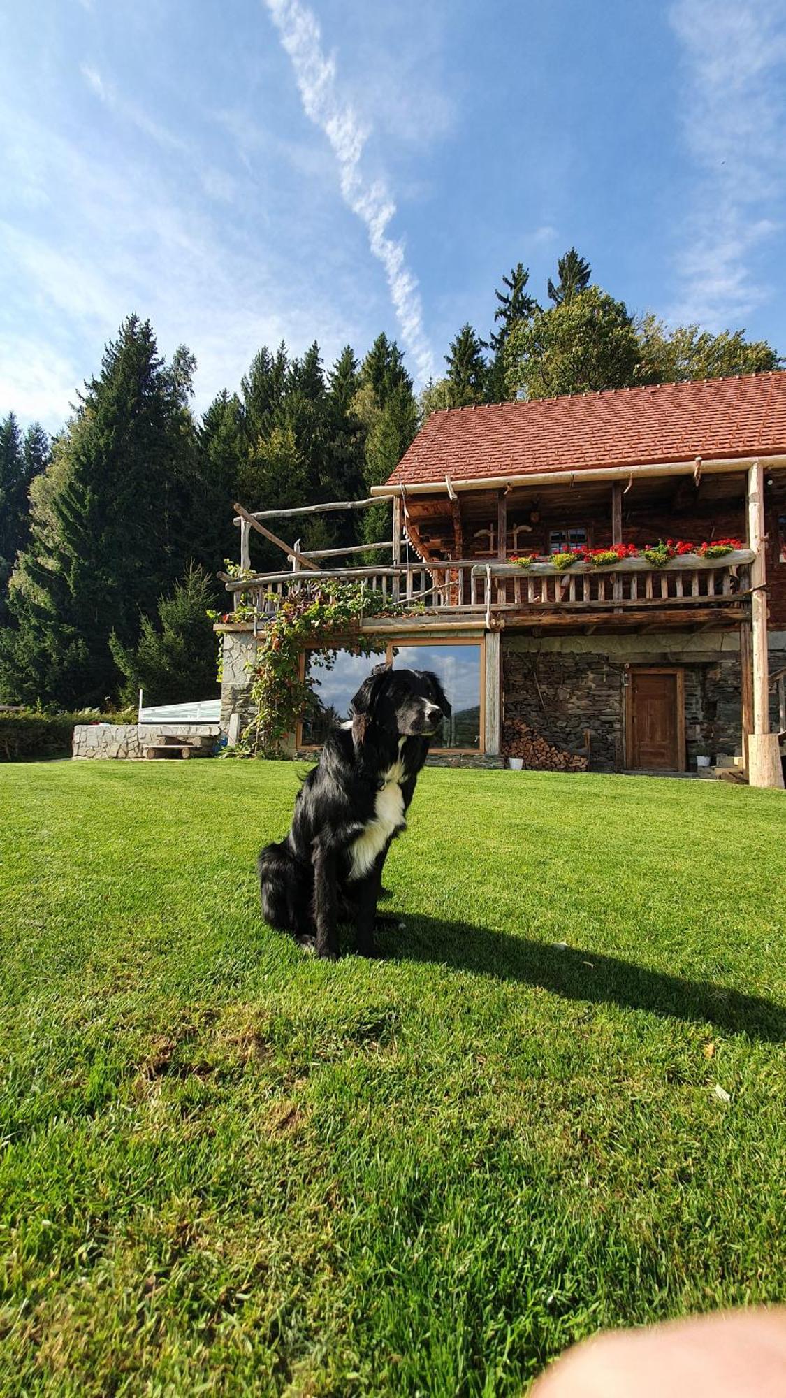 Chalets Toplak Sveti Duh na Ostrem Vrhu Buitenkant foto