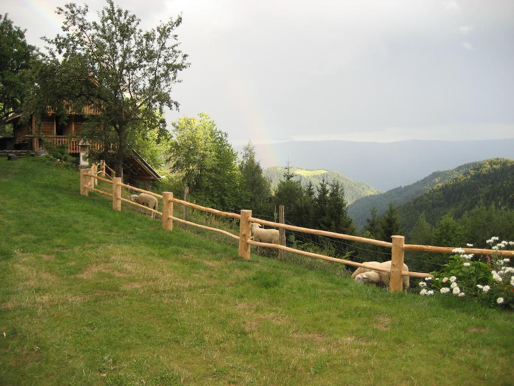 Chalets Toplak Sveti Duh na Ostrem Vrhu Buitenkant foto