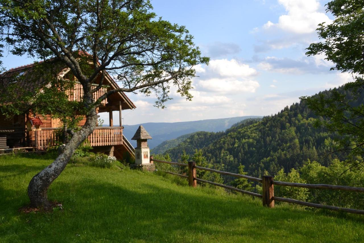 Chalets Toplak Sveti Duh na Ostrem Vrhu Buitenkant foto